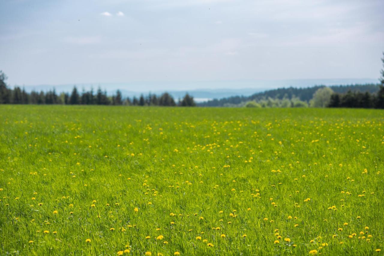 Destne Apartmany Destne v Orlickych horach Bagian luar foto